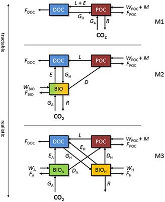 Ecological Modeling of the Supraglacial Ecosystem: A Process-based Perspective